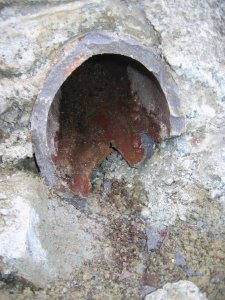 IMG_3389.jpg