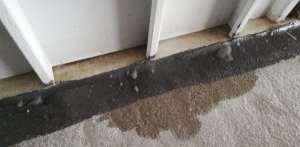 Wasser trotz Abdichtung (10).jpg