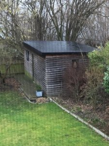 Laube.jpg