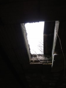 IMG_20200206_160749.jpg