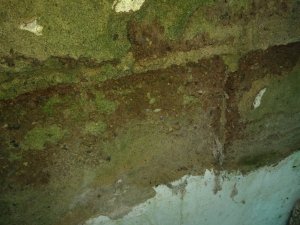 IMG_20200208_143019.jpg