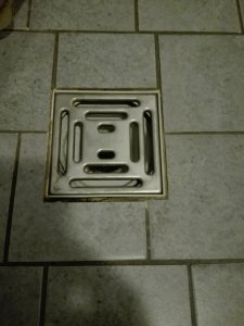 IMG_20200119_182527.jpg