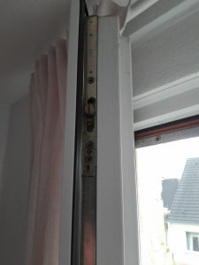 IMG_20200210_134021.jpg