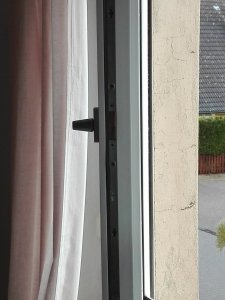 IMG_20200210_133921.jpg
