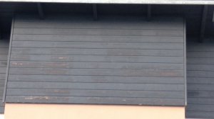 IMG_20191009_181110.jpg