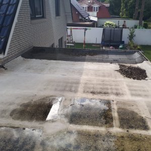 20190811_173517.jpg