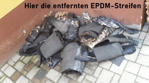 Bild 4.jpg