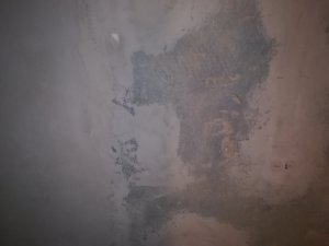 IMG_20200213_225204.jpg