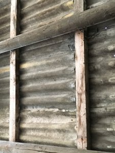 9500D69D-EB9A-4B4D-A5AB-44462CB8EC77.jpeg