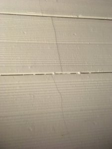 39F038ED-1BD9-4E71-833D-CF4958AADBDE.jpeg