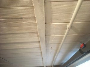 E7821279-1728-4B7C-BF16-3FE8E8F5A59C.jpeg
