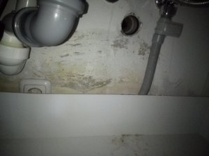 IMG_20200131_130107.jpg