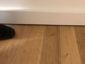 1506876D-484E-4693-8FFB-541166F9EB91.jpeg