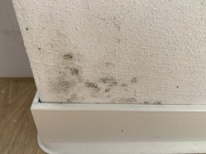 IMG_8983.jpeg