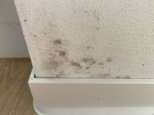 IMG_8982.jpeg