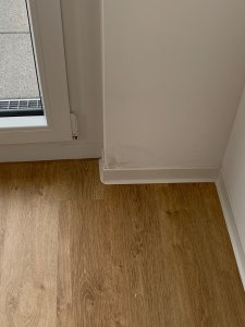 IMG_8985.jpeg