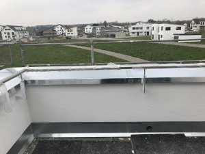 IMG_6023.jpeg