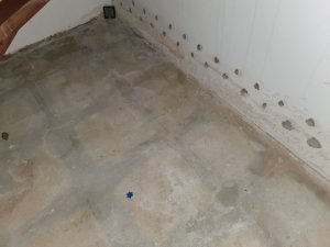 20200224_203202.jpg