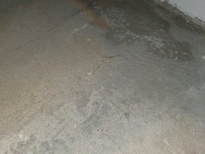 20200224_203126.jpg