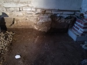 IMG_20200228_071840.jpg