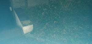 20200228_183953.jpg