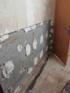 WhatsApp Image 2020-03-02 at 17.58.46.jpeg