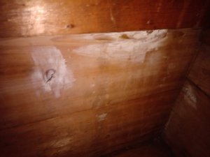 IMG_20200303_064432.jpg