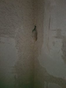 01668298-6C00-43E0-92C2-E307185350DE.jpeg