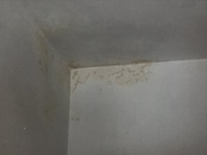 A676CA9D-3E3B-4EC9-948D-19932F4958B4.jpeg