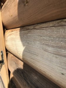 F6D32644-A259-4DDE-95BA-9A69027CA34F.jpeg