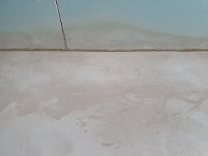 20200316_172610.jpg