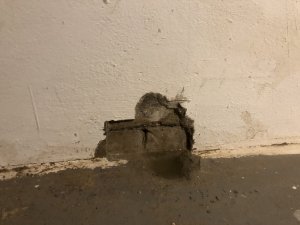 IMG_3553.JPG