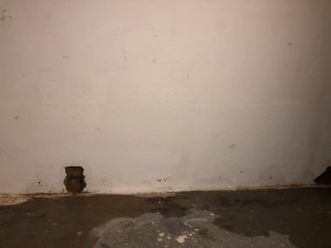 IMG_3555.JPG