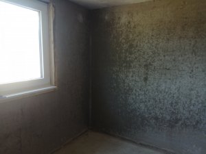IMG_20200324_123403.jpg