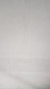 20200325_120733.jpg
