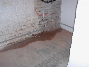 Tauwasser.JPG