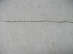 DSCF4621.JPG