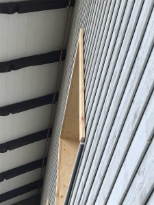 IMG_0472.jpeg