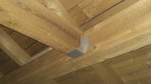 IMG_20200402_064235.jpg