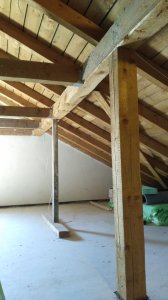 IMG_20200402_102640.jpg