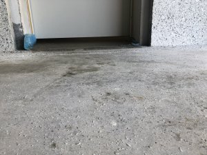 D70C72CE-156E-43BD-B89F-72BB7AC23387.jpeg