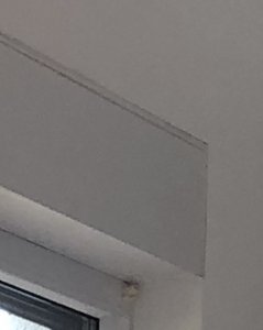 F51D42AF-E35B-4382-96D5-AEA61969476D.jpeg