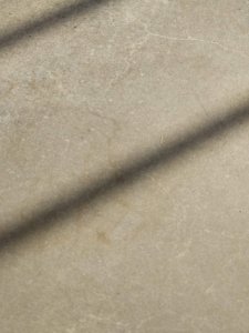 IMG_20200408_091238 (1).jpg