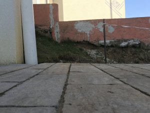 IMG_7046.jpg