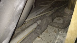 IMG_20200410_172058144.jpg