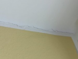 wand1.jpg
