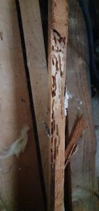 IMG-20200414-WA0026.jpeg
