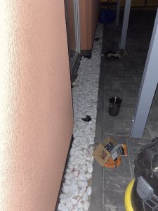 0BCE4B96-8DCE-47A3-8CEE-0D4257F3AE2E.jpeg