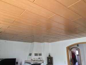 2020_Wohnzimmer_Decke_IST-Zustand-3.JPG