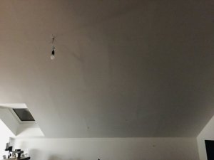 img_2785.jpg